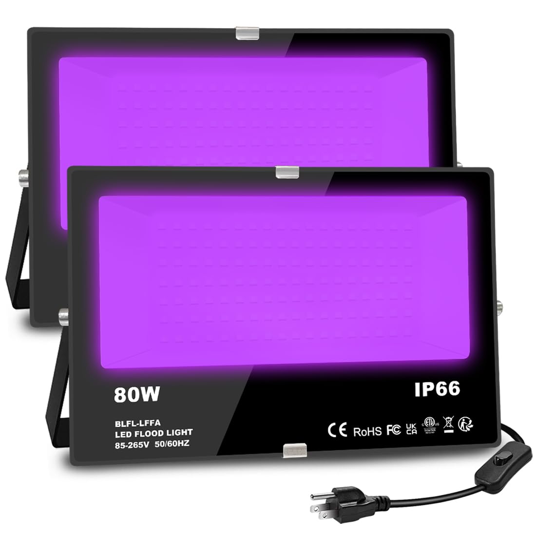 Professional Floodlight, daylight, black, 80W