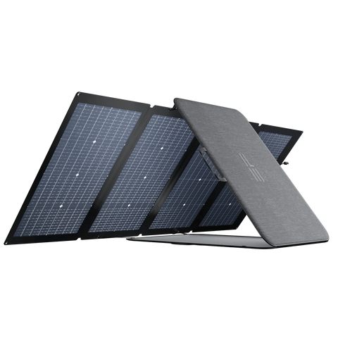 Ecoflow Delta 2 Portable power station, Delta 2 Extra battery and 220W Bifacial solar panel