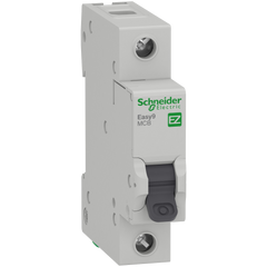 Schneider Mini circuit breaker, C-curve, 1-pole, 63A