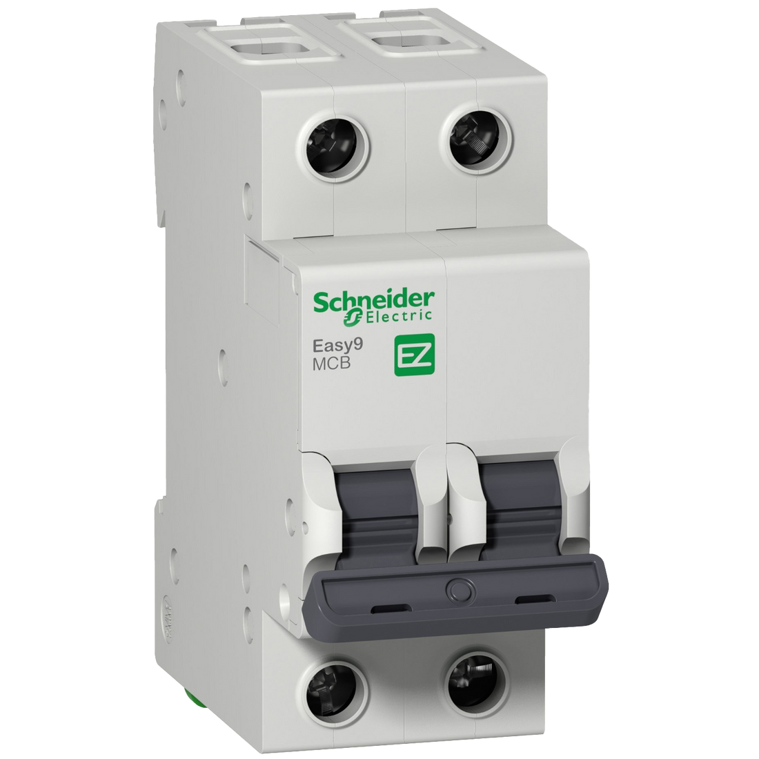 Schneider Mini circuit breaker, C-curve, 2-pole, 32A