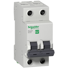Schneider Mini circuit breaker, C-curve, 2-pole, 50A