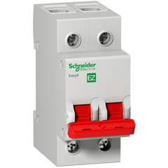 Schneider Switch disconnector, 2-pole, 400V, 63A