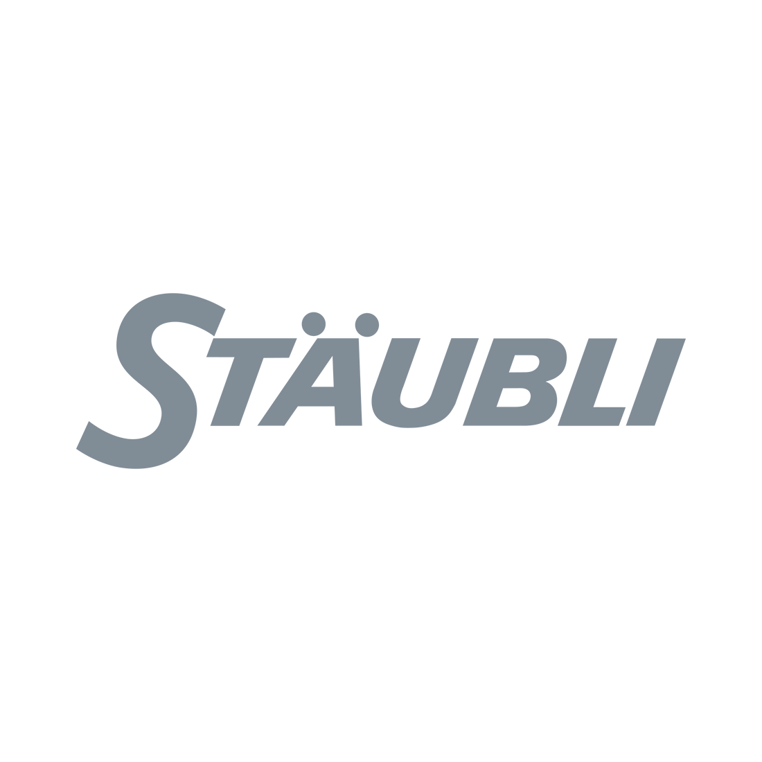 Staubli PV-MS-PLS/G Installation wrench - Rubicon Installer Portal